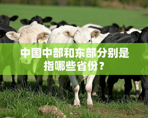 中国中部和东部分别是指哪些省份？