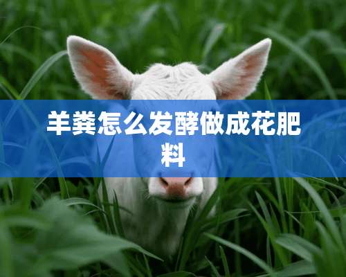 羊粪怎么发酵做成花肥料