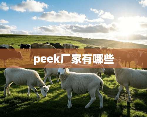 peek厂家有哪些