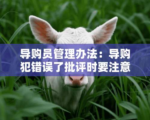 导购员管理办法：导购犯错误了批评时要注意什么？