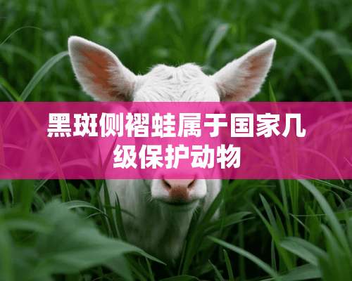 黑斑侧褶蛙属于国家几级保护动物