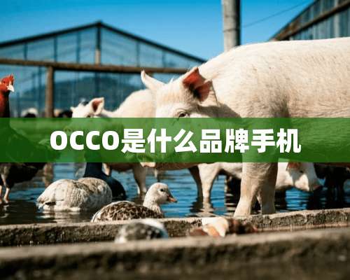 OCCO是什么品牌手机