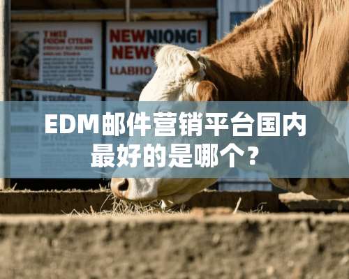 EDM邮件营销平台国内最好的是哪个？