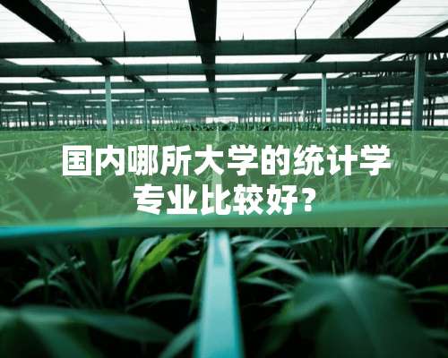 国内哪所大学的统计学专业比较好？