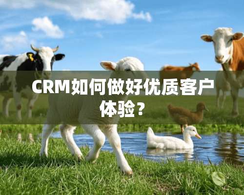 CRM如何做好优质客户体验？