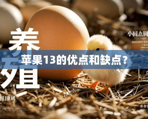 苹果13的优点和缺点？