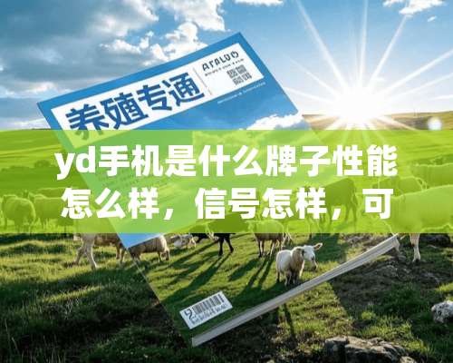 yd手机是什么牌子性能怎么样，信号怎样，可以装电信卡吗？