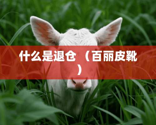 什么是退仓 （百丽皮靴）