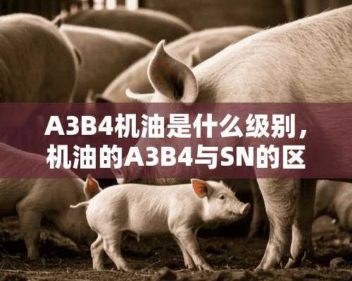 A3B4机油是什么级别，机油的A3B4与SN的区别？