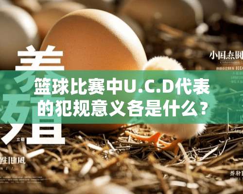 篮球比赛中U.C.D代表的犯规意义各是什么？