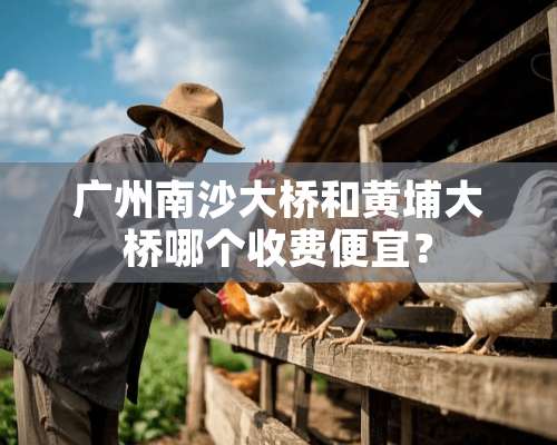 广州南沙大桥和黄埔大桥哪个收费便宜？