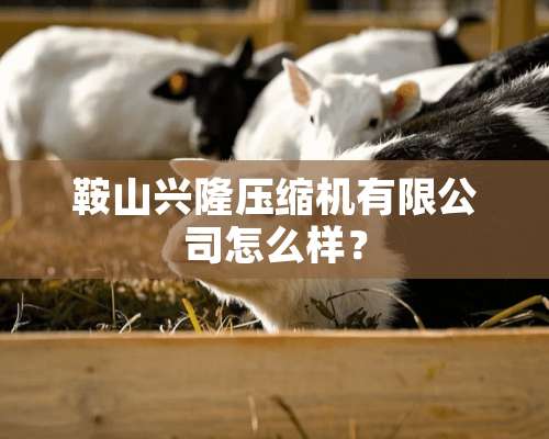 鞍山兴隆压缩机有限公司怎么样？