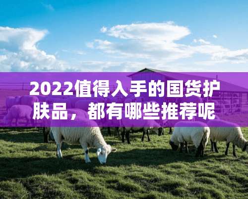 2022值得入手的国货护肤品，都有哪些推荐呢？