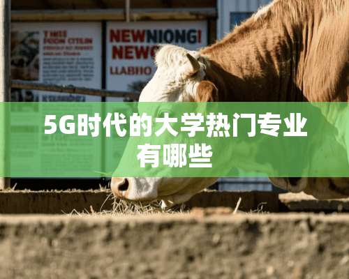 5G时代的大学热门专业有哪些