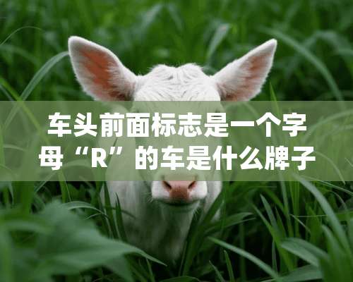 车头前面标志是一个字母“R”的车是什么牌子？_