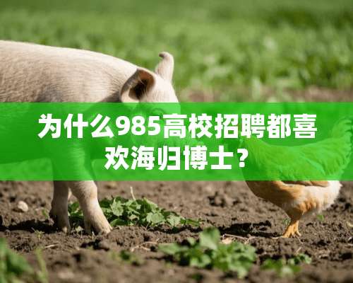 为什么985高校招聘都喜欢海归博士？