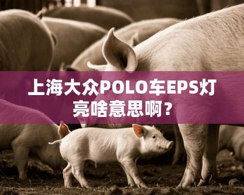 上海大众POLO车EPS灯亮啥意思啊？