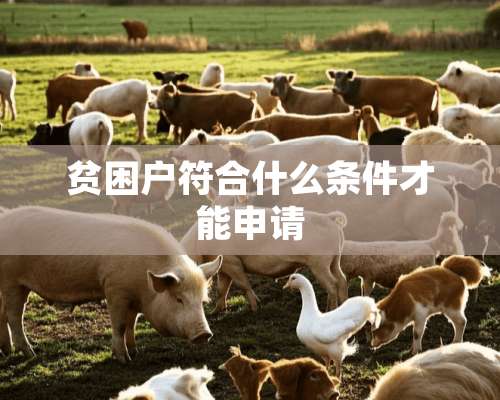 贫困户符合什么条件才能申请