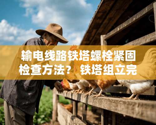 输电线路铁塔螺栓紧固检查方法？ 铁塔组立完成后如何检查螺栓是否紧固到位？