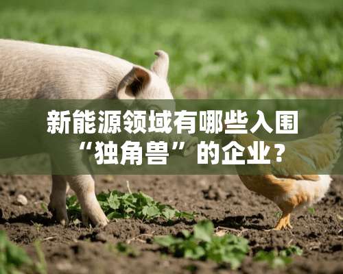 新能源领域有哪些入围“独角兽”的企业？