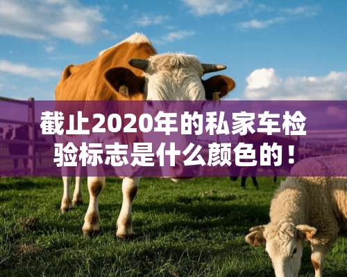 截止2020年的私家车检验标志是什么颜色的！