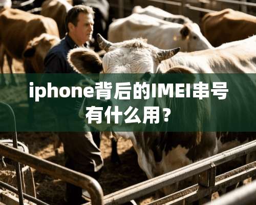 iphone背后的IMEI串号有什么用？