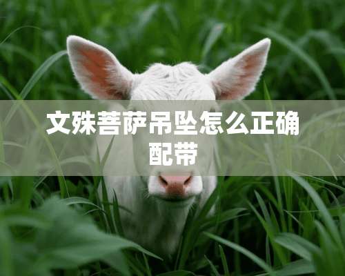 文殊菩萨吊坠怎么正确配带