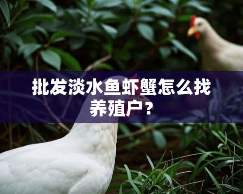 批发淡水鱼虾蟹怎么找养殖户？