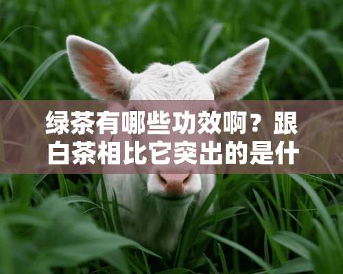 绿茶有哪些功效啊？跟白茶相比它突出的是什么呢？