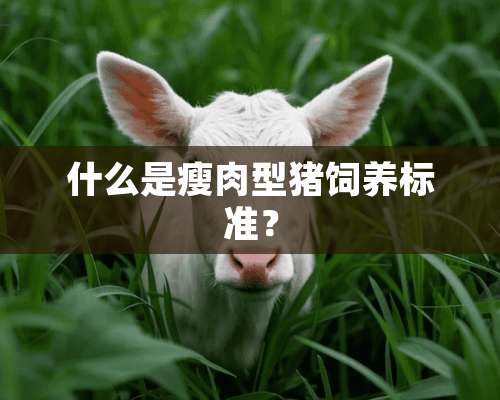 什么是瘦肉型猪饲养标准？