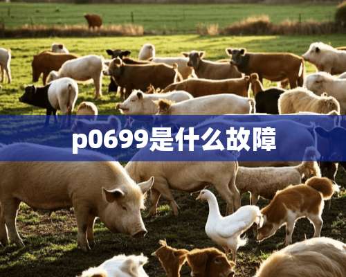 p0699是什么故障