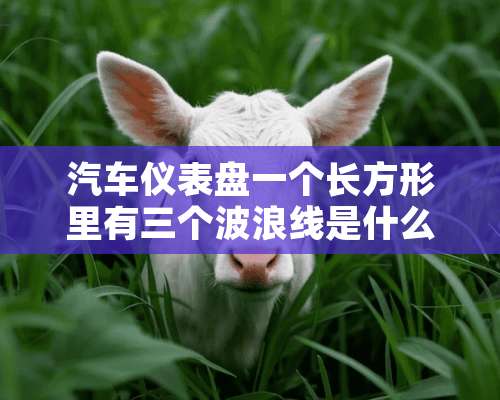 汽车仪表盘一个长方形里有三个波浪线是什么意思