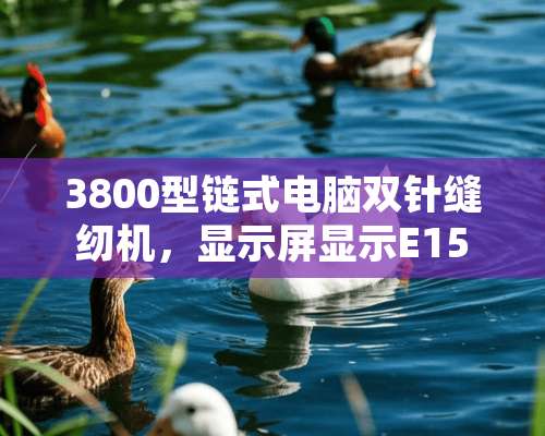 3800型链式电脑双针缝纫机，显示屏显示E15是什么故障！