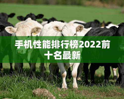 手机性能排行榜2022前十名最新