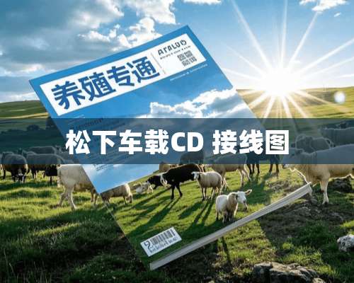 松下车载CD 接线图