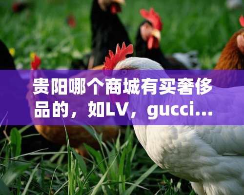 贵阳哪个商城有买奢侈品的，如LV，gucci……