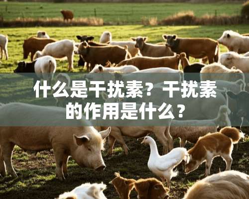 什么是干扰素？干扰素的作用是什么？