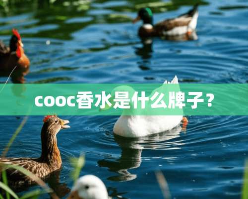 cooc香水是什么牌子？