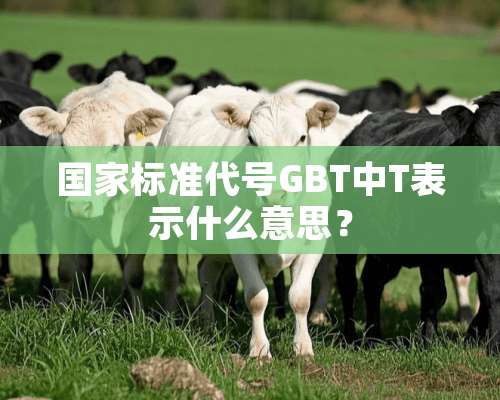 国家标准代号GBT中T表示什么意思？