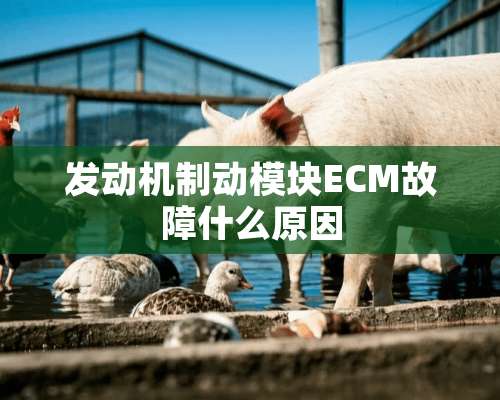 发动机制动模块ECM故障什么原因