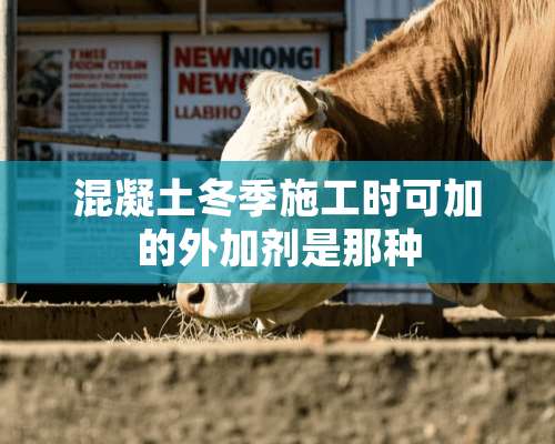 混凝土冬季施工时可加的外加剂是那种