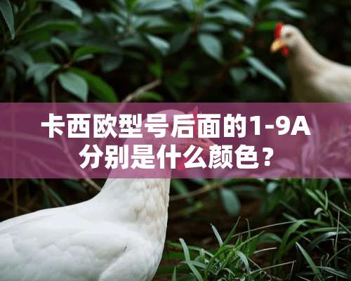 卡西欧型号后面的1-9A分别是什么颜色？