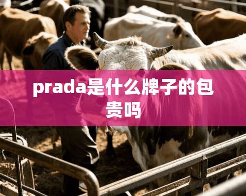 prada是什么牌子的包贵吗