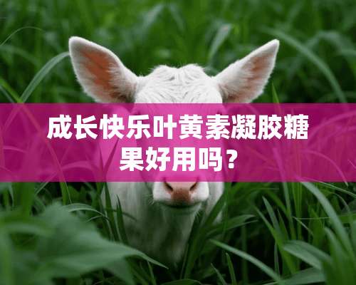 成长快乐叶黄素凝胶糖果好用吗？