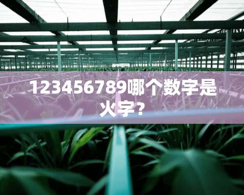 123456789哪个数字是火字？