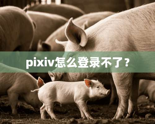 pixiv怎么登录不了？