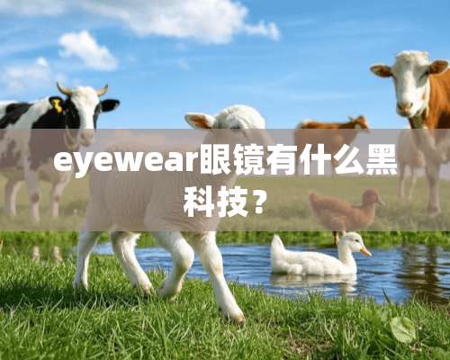 eyewear眼镜有什么黑科技？