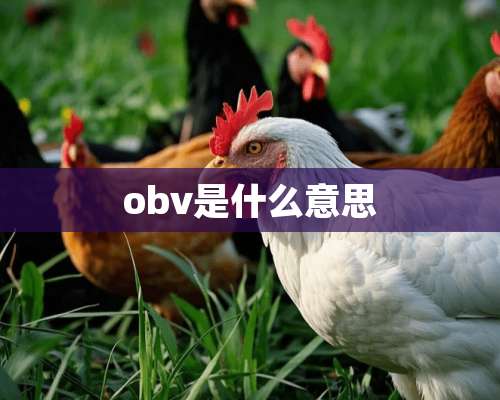 obv是什么意思