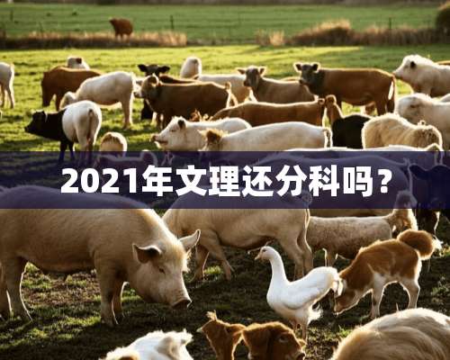 2021年文理还分科吗？