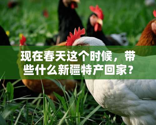 现在春天这个时候，带些什么新疆特产回家？